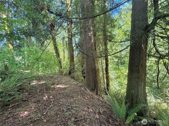1356 SE Carl Pickel Drive, Port Orchard, WA 98366