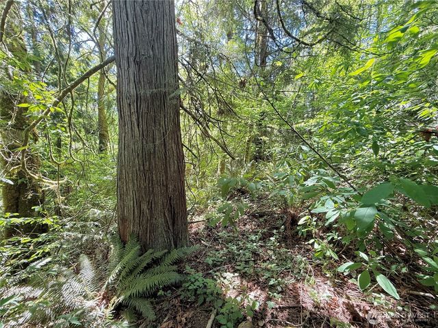 1356 SE Carl Pickel Drive, Port Orchard, WA 98366