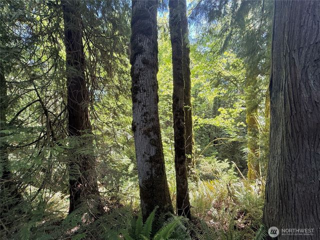 1356 SE Carl Pickel Drive, Port Orchard, WA 98366