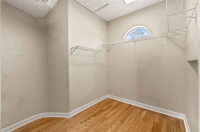 421 NESSLER WAY, Spring Hill, FL 34609