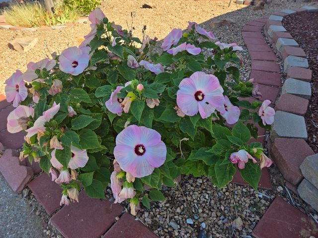 519 FENWICK Place SW, Albuquerque, NM 87121