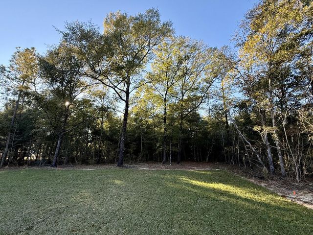 1912 Hidden Springs Drive, Baker, FL 32531