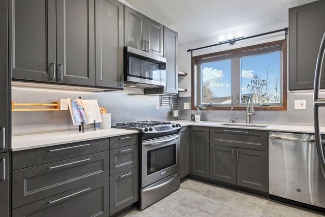 110312 Center Green Circle, Chaska, MN 55318