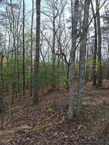 LOT 22 Mull Lane Cir, Lt 22, Morganton, GA 30560