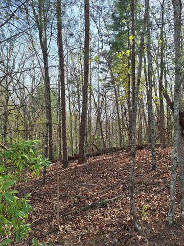 LOT 22 Mull Lane Cir, Lt 22, Morganton, GA 30560