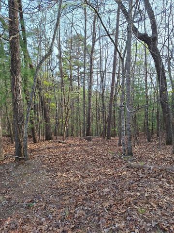 LOT 22 Mull Lane Cir, Lt 22, Morganton, GA 30560