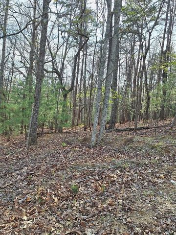 LOT 22 Mull Lane Cir, Lt 22, Morganton, GA 30560