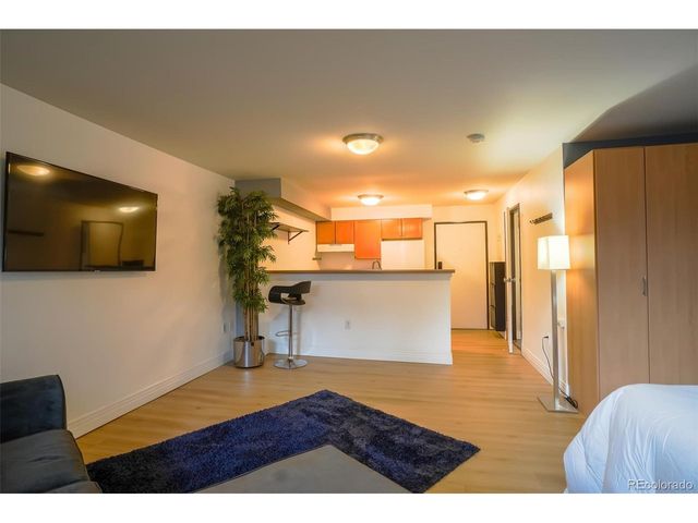 1196 N Grant St 113, Denver, CO 80203