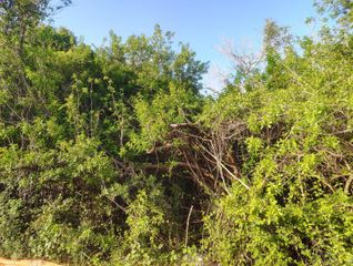 3931 SW Port St Lucie Boulevard, Port St. Lucie, FL 34953