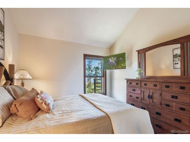 89310 Ryan Gulch Rd Rd 403, Silverthorne, CO 80498