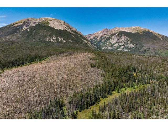 89310 Ryan Gulch Rd Rd 403, Silverthorne, CO 80498