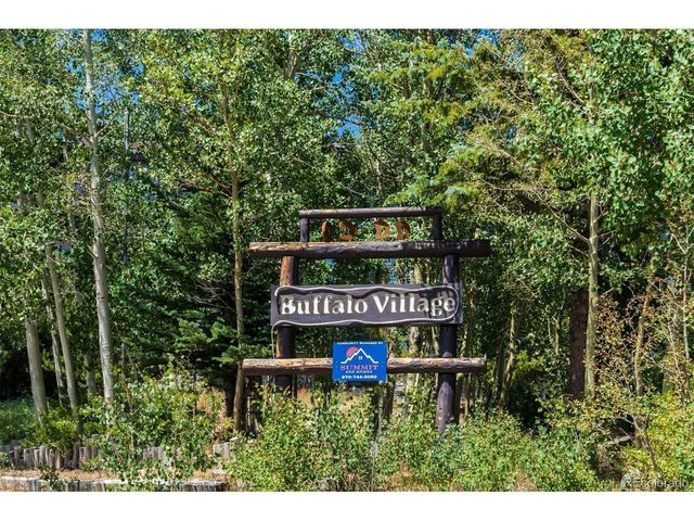 89310 Ryan Gulch Rd Rd 403, Silverthorne, CO 80498