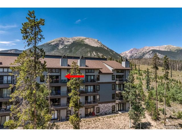 89310 Ryan Gulch Rd Rd 403, Silverthorne, CO 80498