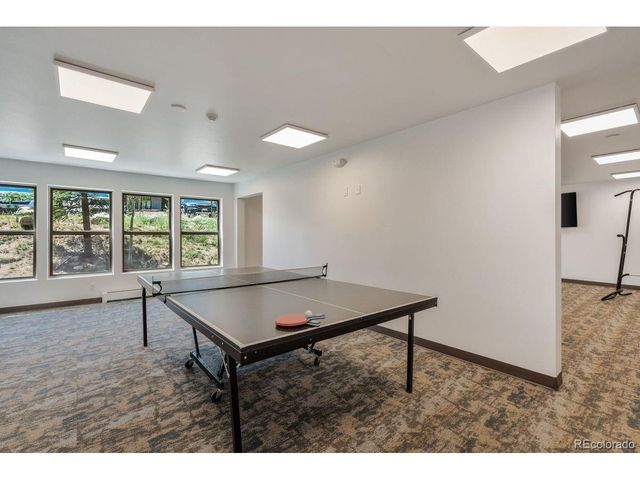 89310 Ryan Gulch Rd Rd 403, Silverthorne, CO 80498