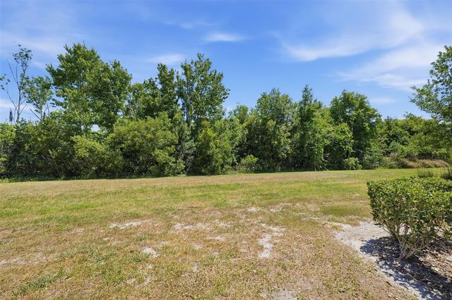 31555 BLUE PASSING LOOP, Wesley Chapel, FL 33545