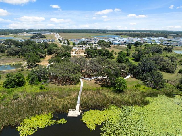 31555 BLUE PASSING LOOP, Wesley Chapel, FL 33545