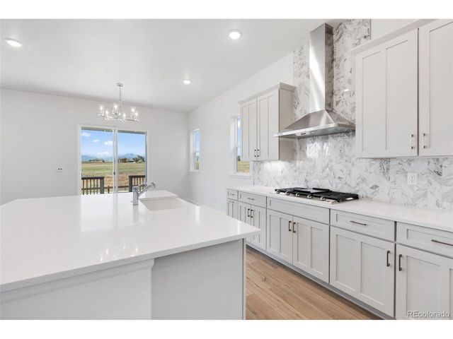 16873 Ballinger Cir, Mead, CO 80542