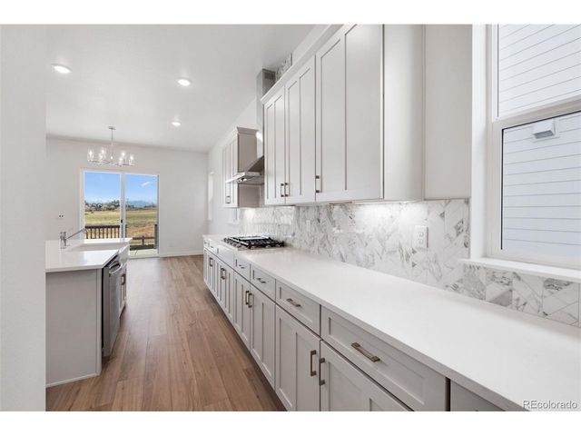 16873 Ballinger Cir, Mead, CO 80542