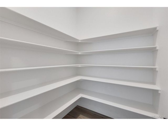 16873 Ballinger Cir, Mead, CO 80542