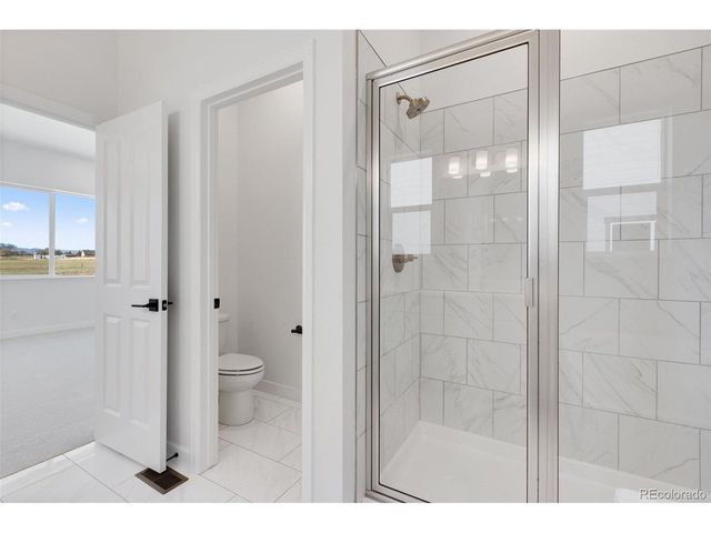 16873 Ballinger Cir, Mead, CO 80542