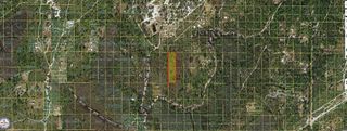 HOLOPAW GROVES ROAD, St Cloud, FL 34773