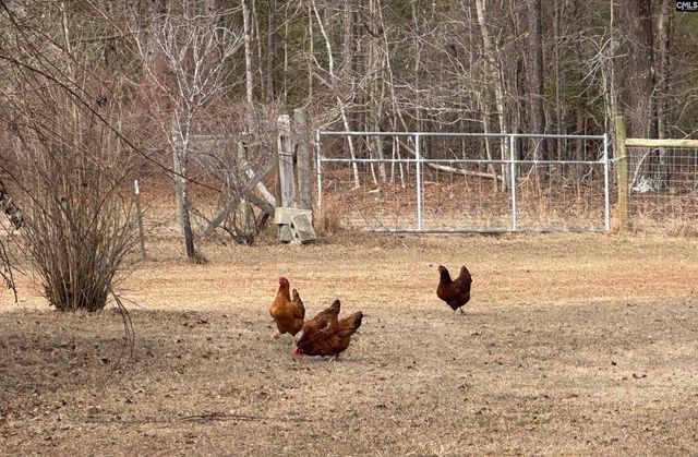 124 Shannon Drive, Swansea, SC 29160