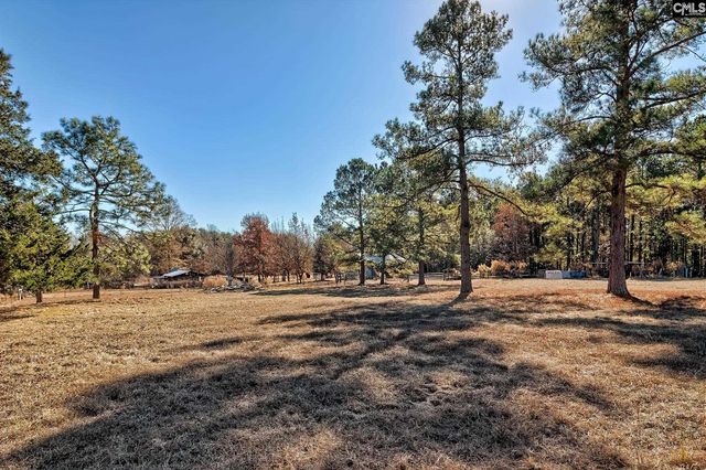 124 Shannon Drive, Swansea, SC 29160