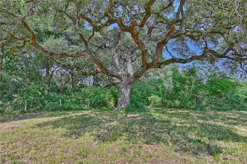 2120 Hohenwalde School Road, Brenham, TX 77833 — photo 3