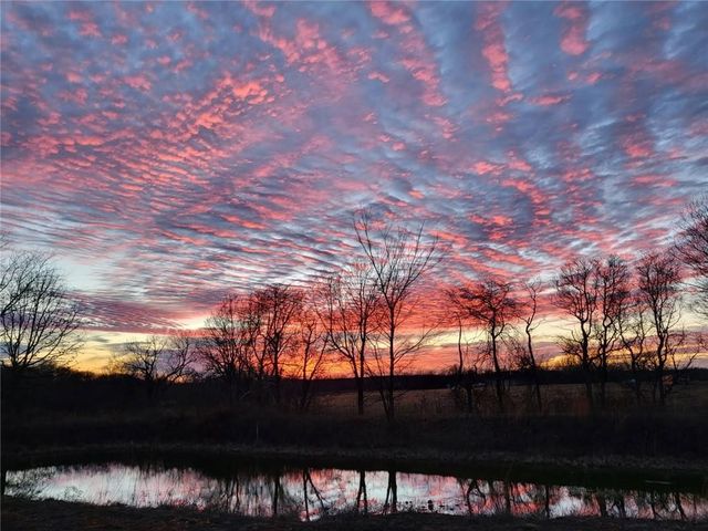 16000 Peterson Road, Gentry, AR 72734