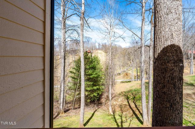 1135 Cherry Springs Lane, Trade, TN 37691
