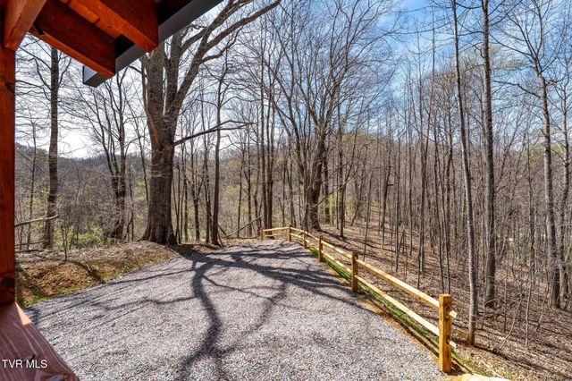 1135 Cherry Springs Lane, Trade, TN 37691
