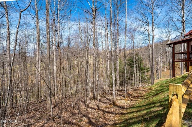 1135 Cherry Springs Lane, Trade, TN 37691