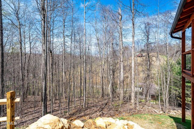 1135 Cherry Springs Lane, Trade, TN 37691