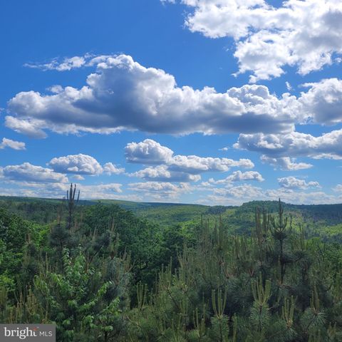 729 HIGH MOUNTAIN RD, Gardners, PA 17324