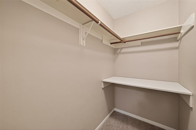 5003 Dawn Lily Drive, Spring, TX 77388