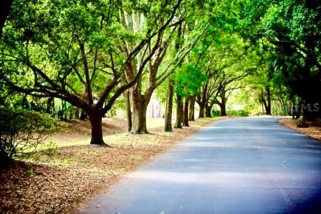 233 CROWN OAKS WAY 233, Longwood, FL 32779