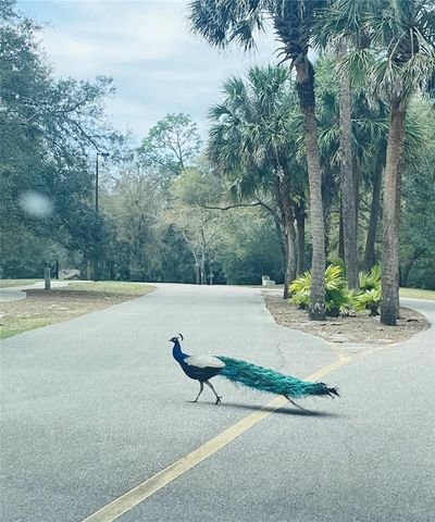 233 CROWN OAKS WAY 233, Longwood, FL 32779