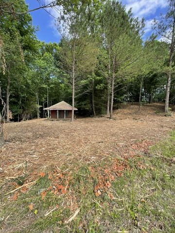 0 Sulphur Creek Road, Big Sandy, TN 38221