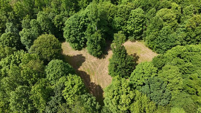 0 Sulphur Creek Road, Big Sandy, TN 38221