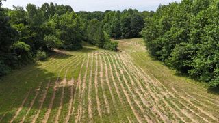 0 Sulphur Creek Road, Big Sandy, TN 38221