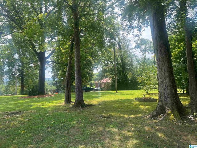 9720 WESTFIELD PLACE, Birmingham, AL 35217