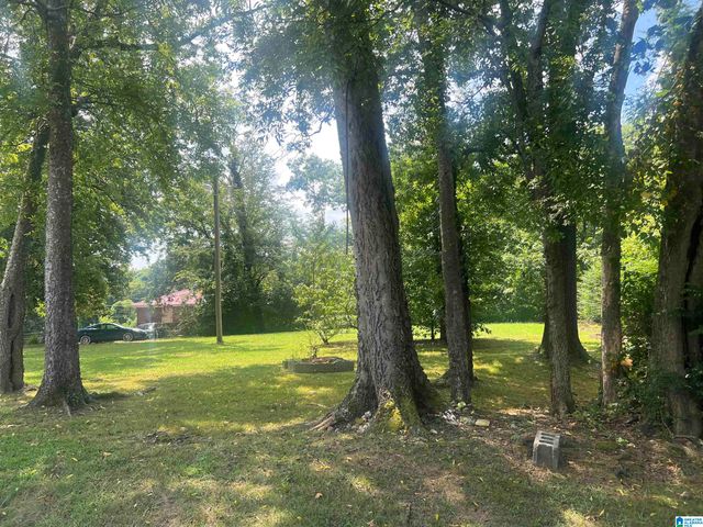 9720 WESTFIELD PLACE, Birmingham, AL 35217
