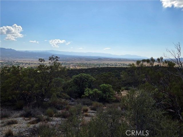 0 Mount Rd, Anza, CA 92539