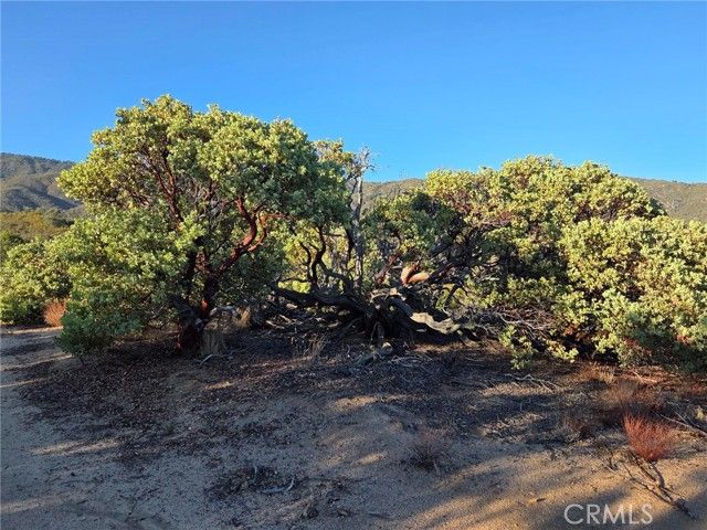 0 Mount Rd, Anza, CA 92539