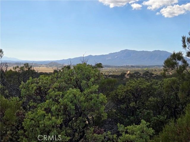 0 Mount Rd, Anza, CA 92539