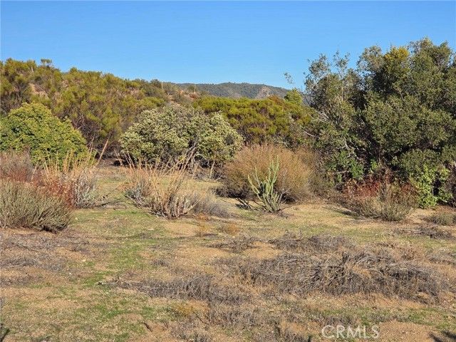 0 Mount Rd, Anza, CA 92539