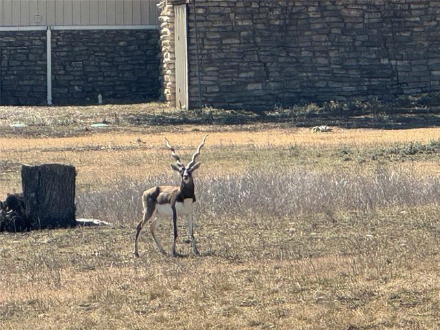 0 E Majestic Creek DR Lot 10, Blanco, TX 78606