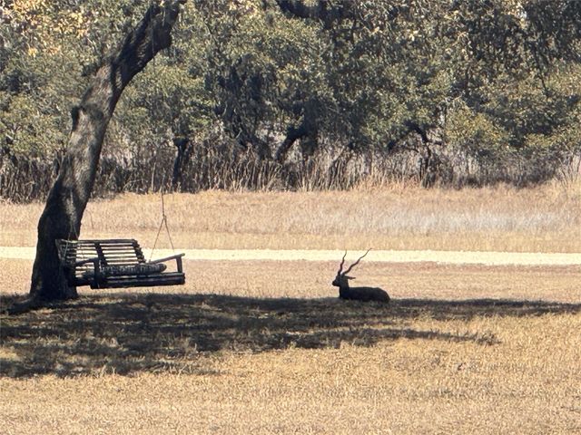 0 E Majestic Creek DR Lot 10, Blanco, TX 78606