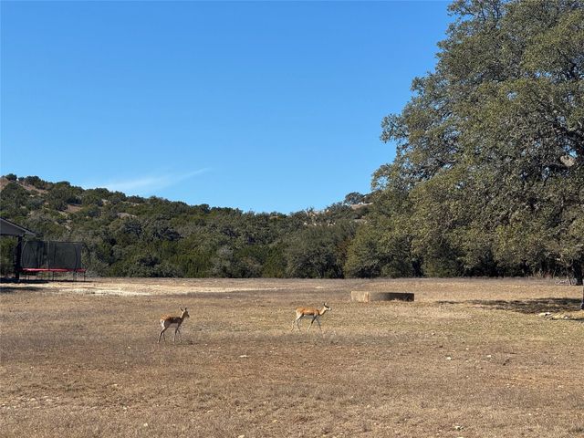 0 E Majestic Creek DR Lot 10, Blanco, TX 78606