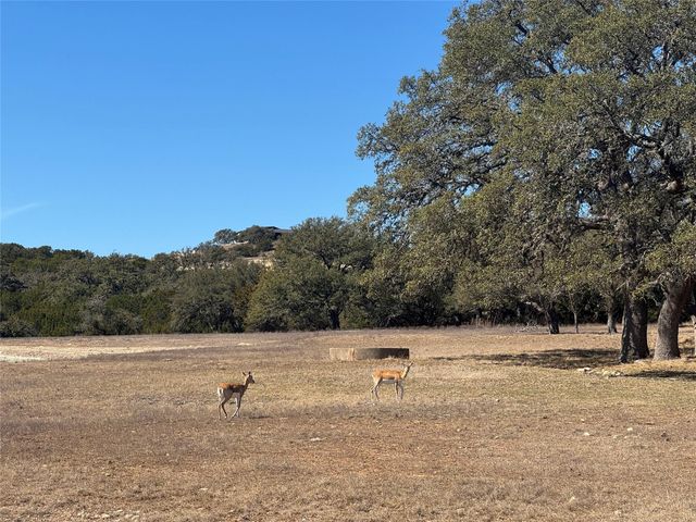 0 E Majestic Creek DR Lot 10, Blanco, TX 78606